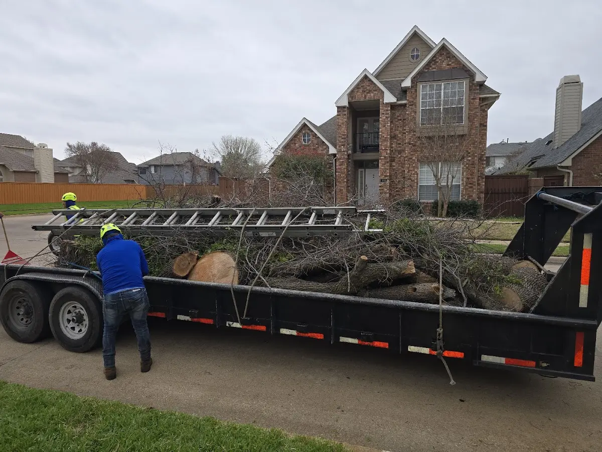 Expert Lot Clearing with proper safety equipment in Prentice